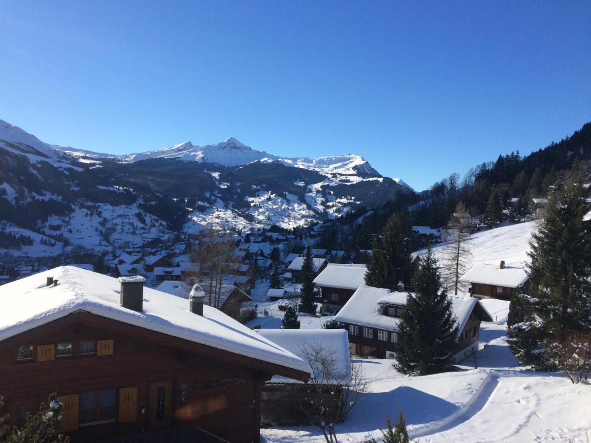 Grindelwald-Sunneblick Leilighet Eksteriør bilde