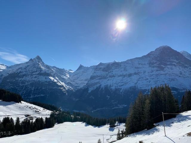 Grindelwald-Sunneblick Leilighet Eksteriør bilde