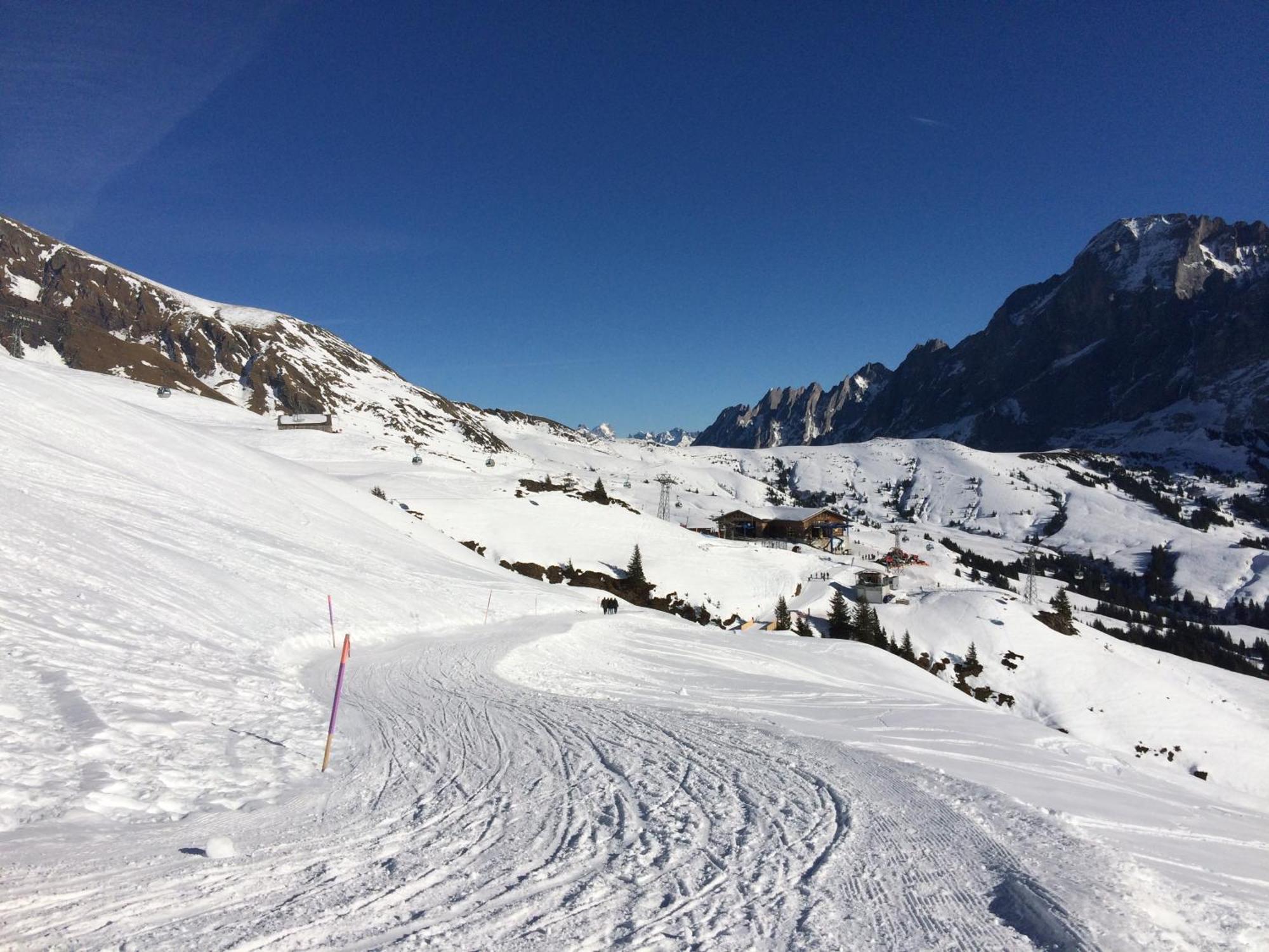 Grindelwald-Sunneblick Leilighet Eksteriør bilde